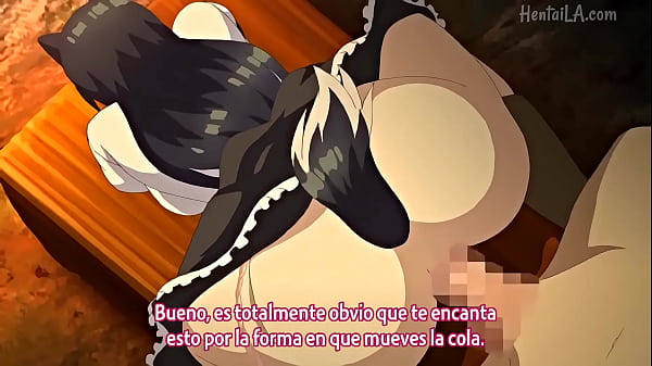 Hentai De Elfas Y Gatas Con Necesidades De Semen Hosting Anime